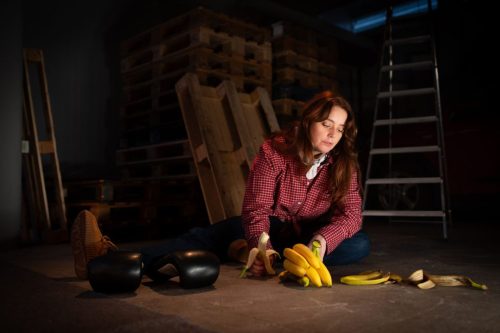 Foto: Niklas Holmberg